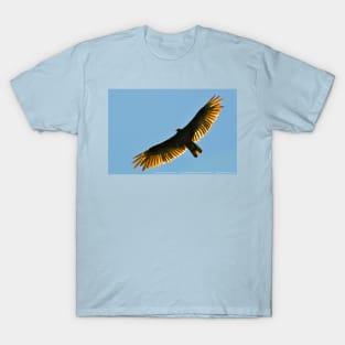 Turkey Buzzard 1 T-Shirt